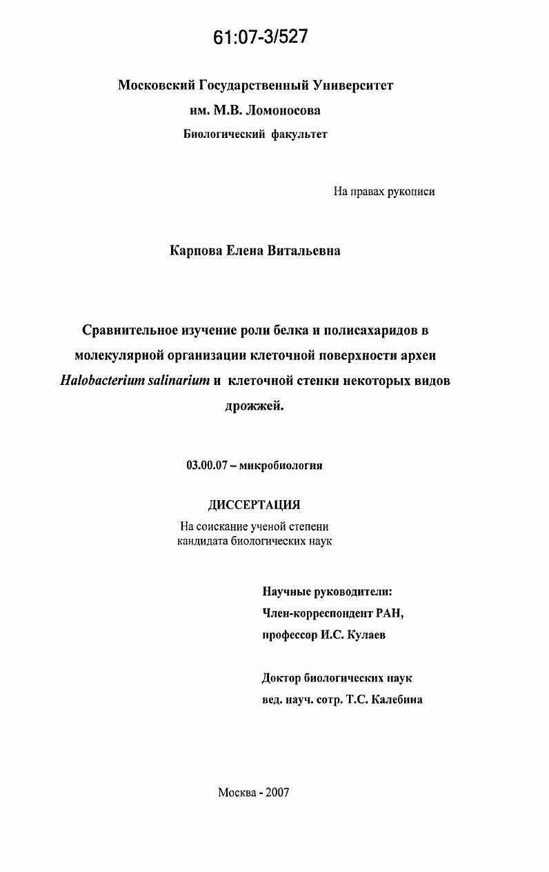 скачать диссертацию Сравнительное изучение роли белка и полисахаридов в молекулярной организации клеточной поверхности археи Halobacterium salinarium и клеточной стенки некоторых видов дрожжей Сравнительное изучение роли белка и полисахаридов в молекулярной организации клеточной поверхности археи Halobacterium salinarium и клеточной стенки некоторых видов дрожжей