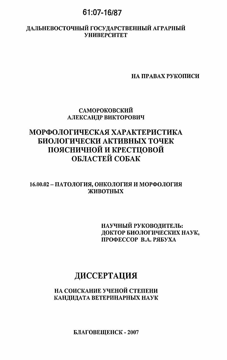 Морфологическая характеристика биологически активных точек поясничной и крестцовой областей собак