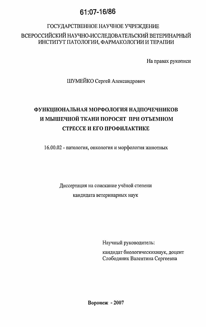 Функциональная морфология надпочечников и мышечной ткани поросят при отъемном стрессе и его профилактике