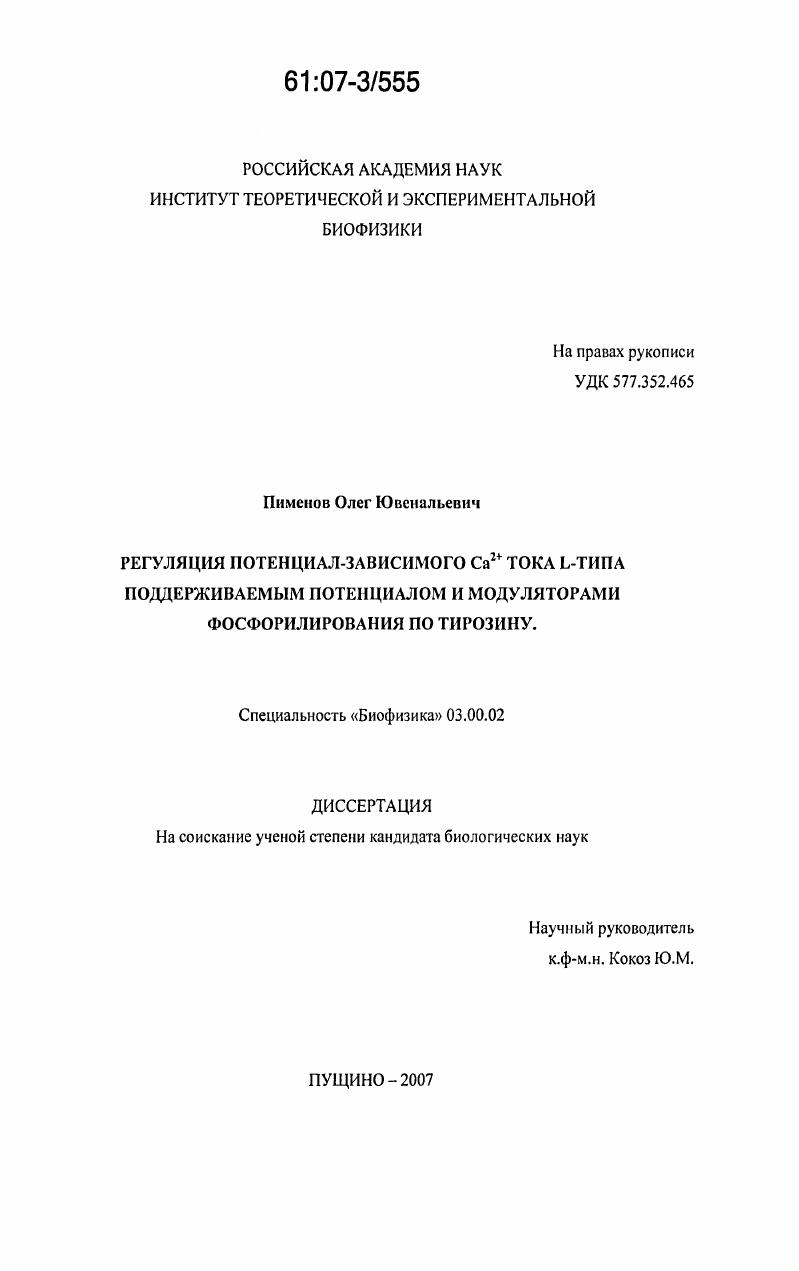 Регуляция потенциал-зависимого Ca2+ тока L-типа поддерживаемым потенциалом и модуляторами фосфорилирования по тирозину