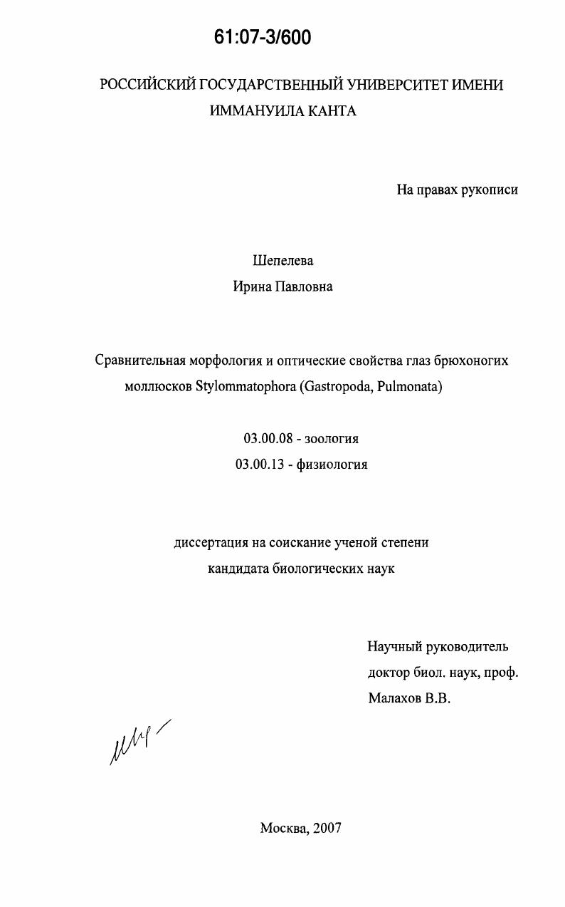 Сравнительная морфология и оптические свойства глаз брюхоногих моллюсков Stylommatophora : Gastropoda, Pulmonata