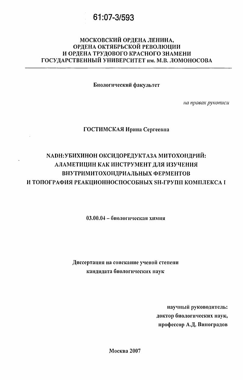 скачать диссертацию NADH: убихинон-оксидоредуктаза митохондрий: аламетицин как инструмент для изучения внутримитохондриальных ферментов и топография реакционноспособных SH-групп комплекса I NADH: убихинон-оксидоредуктаза митохондрий: аламетицин как инструмент для изучения внутримитохондриальных ферментов и топография реакционноспособных SH-групп комплекса I