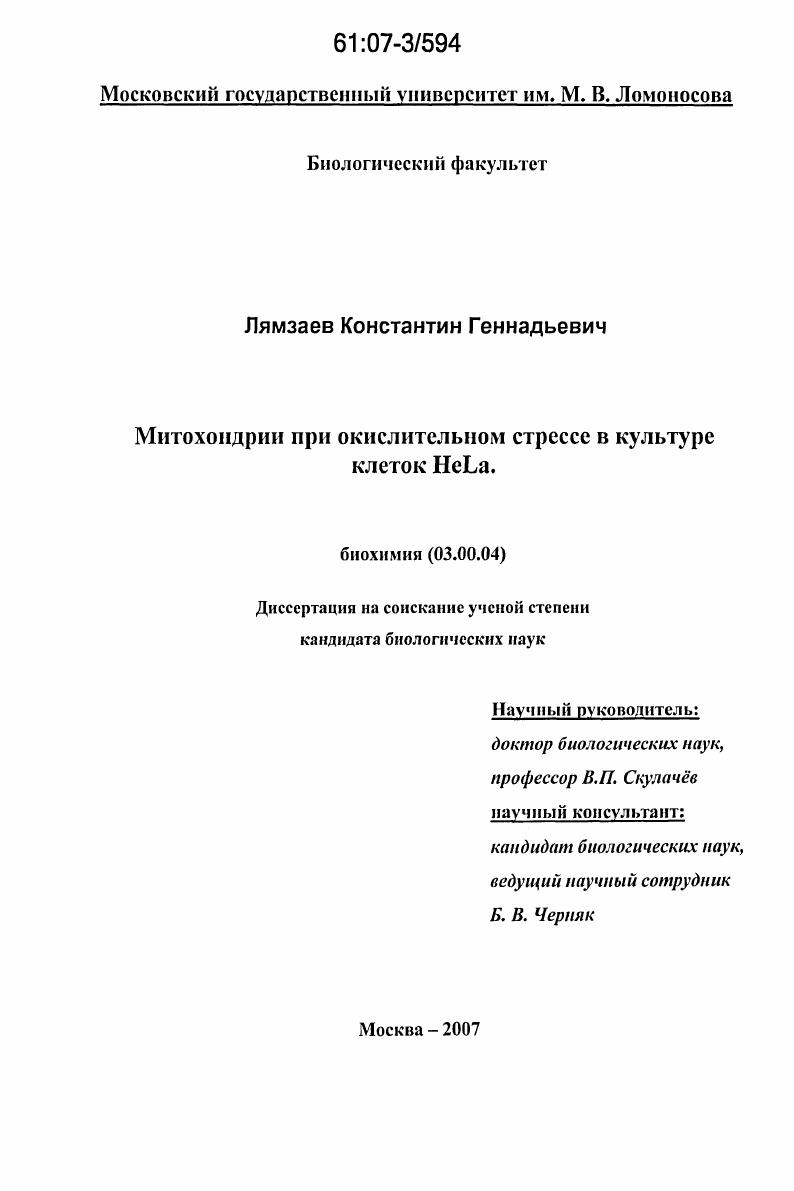 скачать диссертацию Митохондрии при окислительном стрессе в культуре клеток HeLa Митохондрии при окислительном стрессе в культуре клеток HeLa