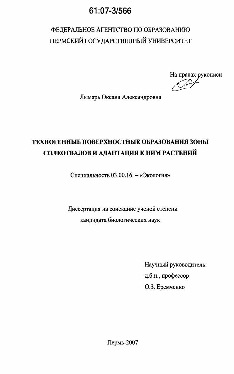 Техногенные поверхностные образования зоны солеотвалов и адаптация к ним растений