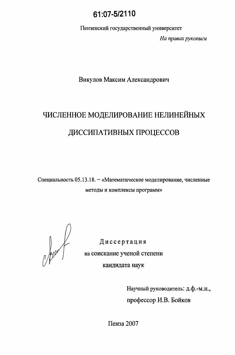 Численное моделирование нелинейных диссипативных процессов