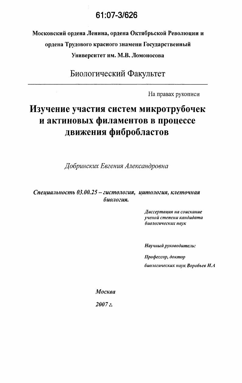 Изучение участия систем микротрубочек и актиновых филаментов в процессе движения фибробластов