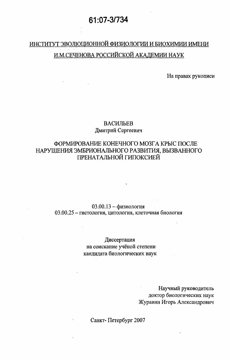 Формирование конечного мозга крыс после нарушения эмбрионального развития, вызванного пренатальной гипоксией