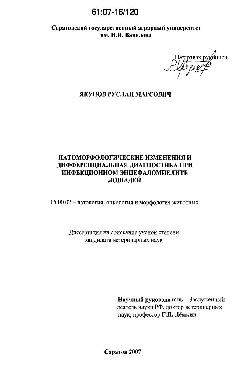 Патоморфологические изменения и дифференциальная диагностика при инфекционном энцефаломиелите лошадей