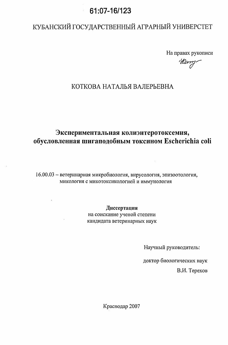 Экспериментальная колиэнтеротоксемия, обусловленная шигаподобным токсином Escherichia coli