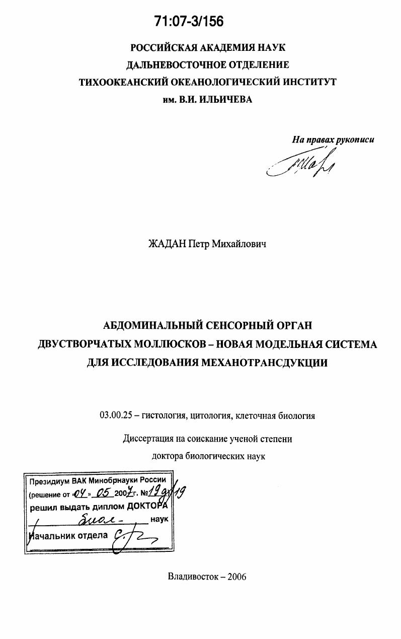 Абдоминальный сенсорный орган двустворчатых моллюсков-новая модельная система для исследования механотранстдукции