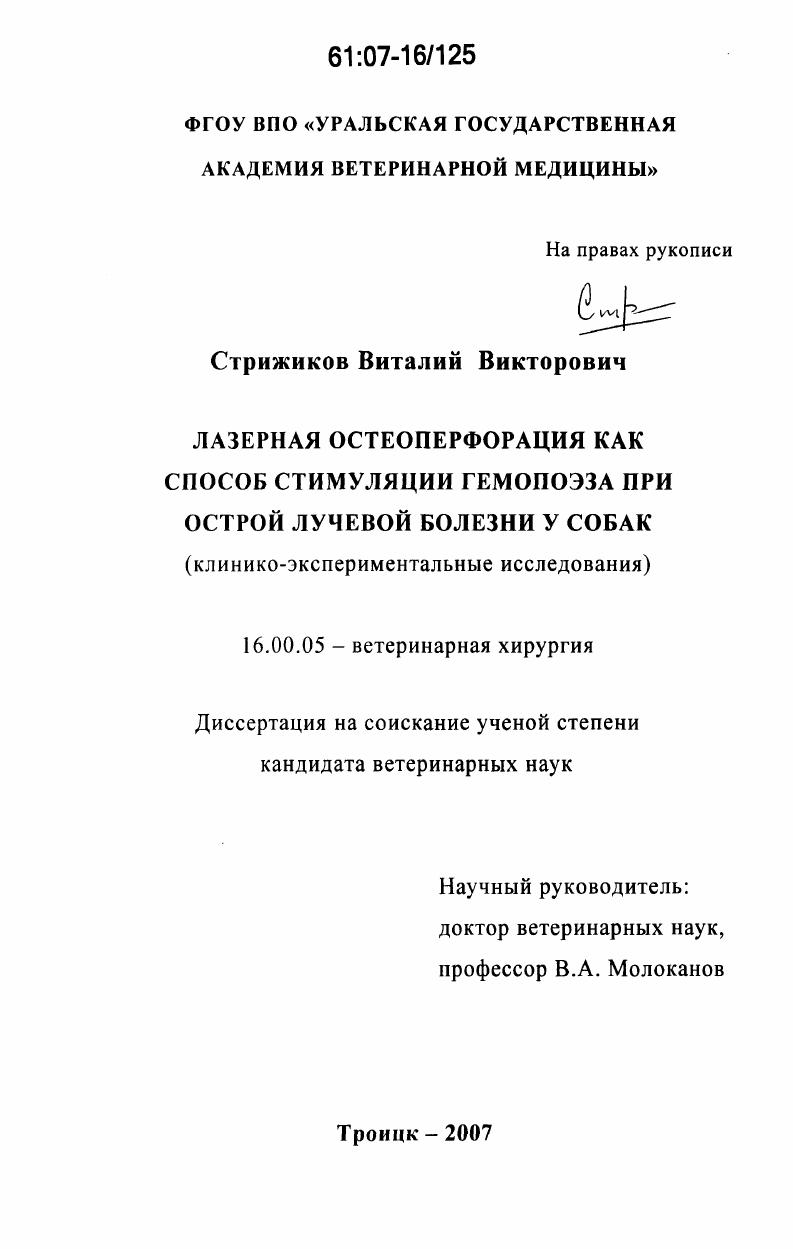 Лазерная остеоперфорация как способ стимуляции гемопоэза при острой лучевой болезни у собак : клинико-экспериментальные исследования