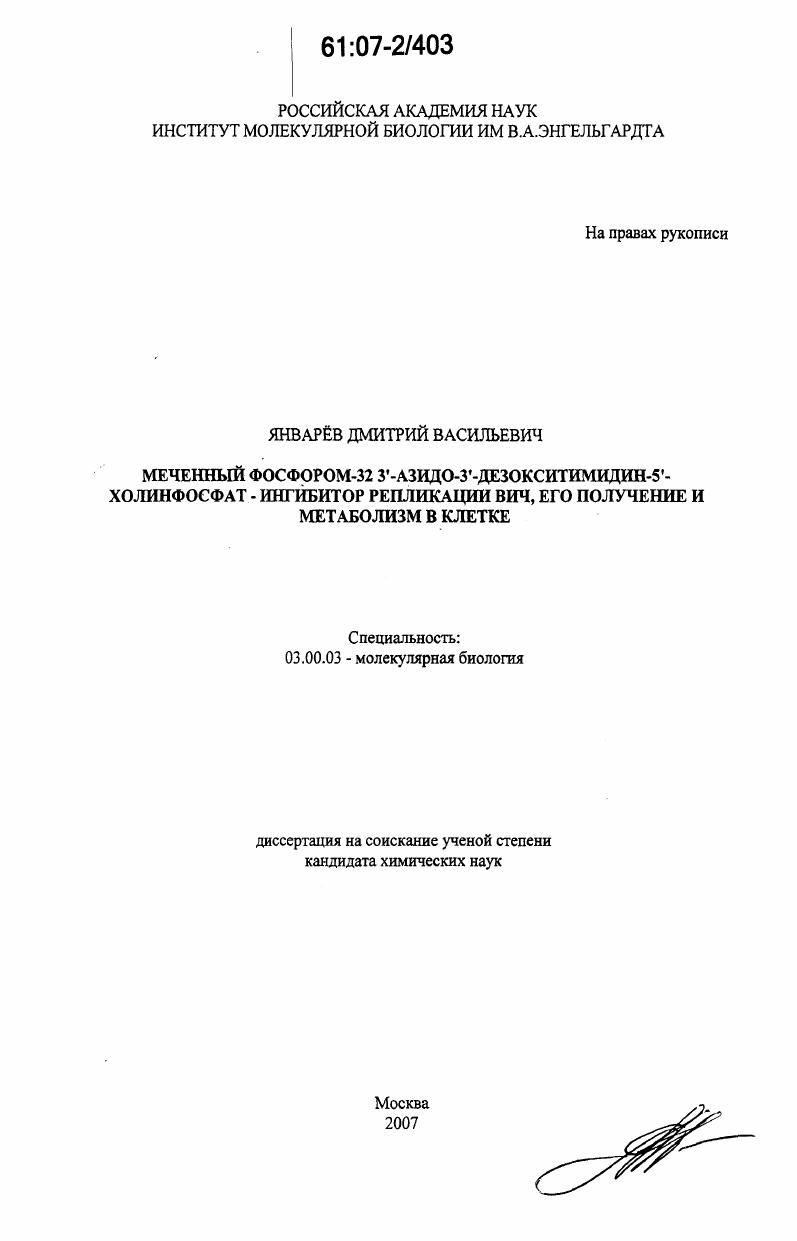 Меченный фосфором-32 3'-азидо-3'-дезокситимидин-5'-холинфосфат - ингибитор репликации ВИЧ, его получение и метаболизм в клетке