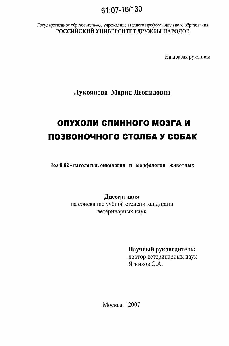 Опухоли спинного мозга и позвоночного столба у собак