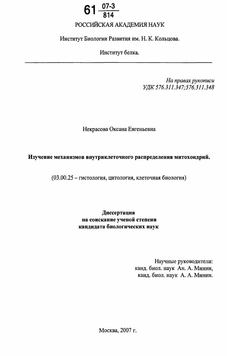 Изучение механизмов внутриклеточного распределения митохондрий