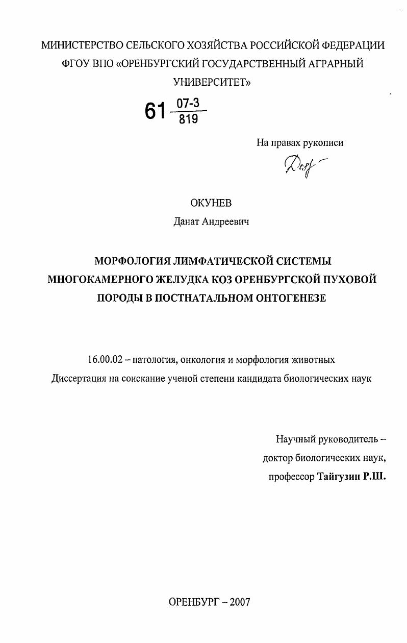 Морфология лимфатической системы многокамерного желудка коз оренбургской пуховой породы в постнатальном онтогенезе