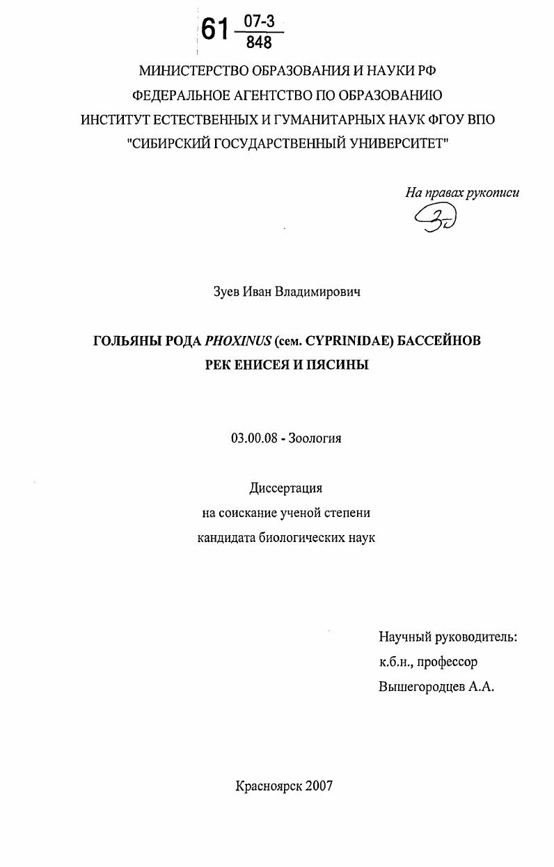 Гольяны рода Phoxinus (сем. Cyprinidae) бассейнов рек Енисея и Пясины