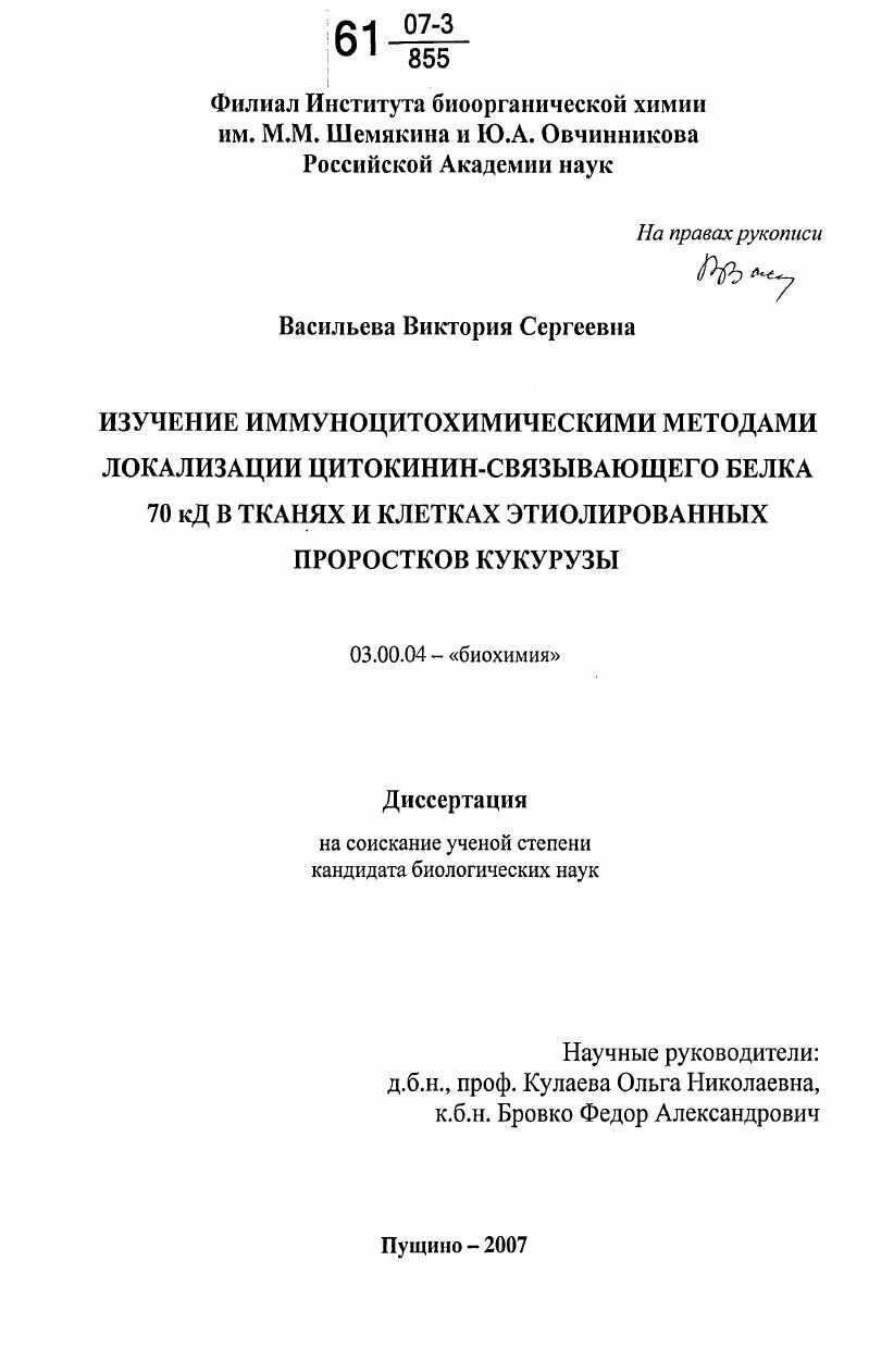 Изучение иммуноцитохимическими методами локализации цитокинин-связывающего белка 70 кД в тканях и клетках этиолированных проростков кукурузы
