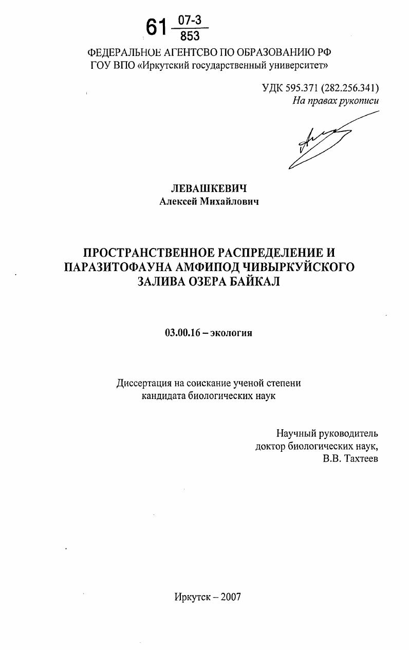 Пространственное распределение и паразитофауна амфипод Чивыркуйского залива озера Байкал