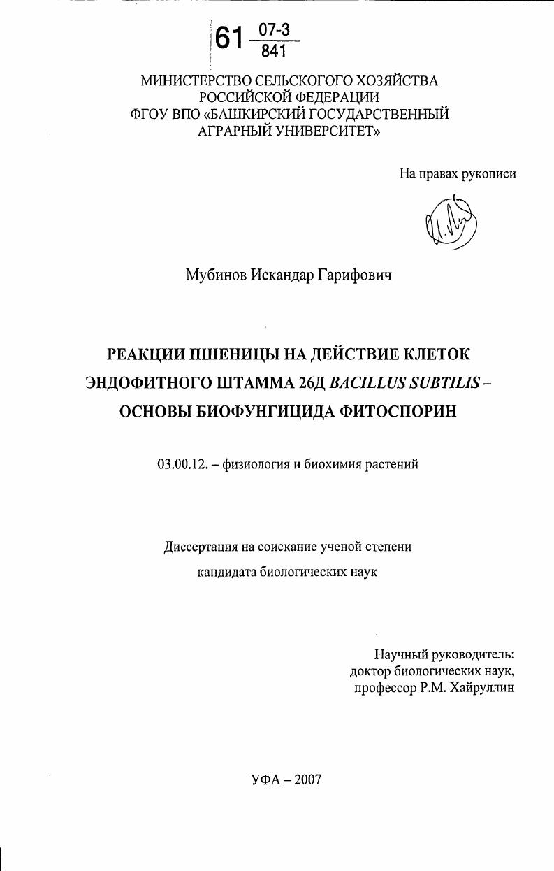 Реакции пшеницы на действие клеток эндофитного штамма 26Д Bacillus Subtilis-основы биофунгицида фитоспорин