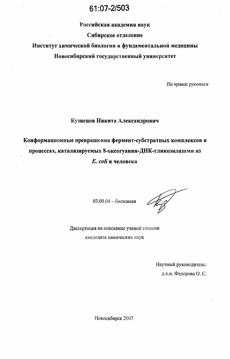 скачать диссертацию Конформационные превращения фермент-субстратных комплексов в процессах, катализируемых 8-оксогуанин-ДНК-гликозилазами из E. coli и человека Конформационные превращения фермент-субстратных комплексов в процессах, катализируемых 8-оксогуанин-ДНК-гликозилазами из E. coli и человека
