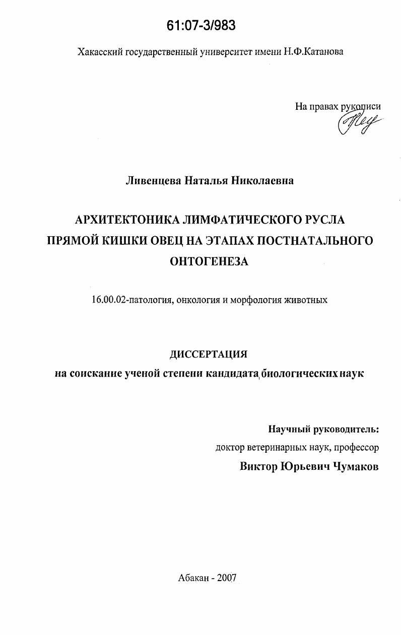 Архитектоника лимфатического русла прямой кишки овец на этапах постнатального онтогенеза