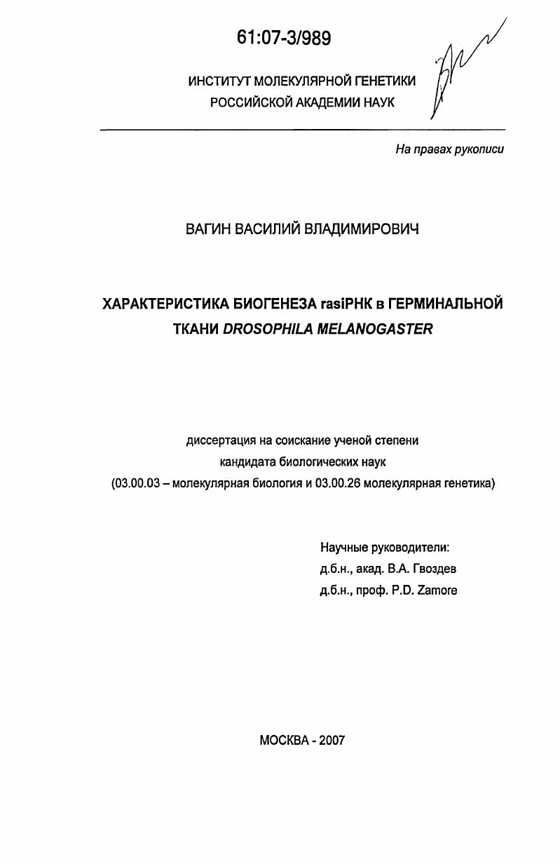 Характеристика биогенеза rasiPHK в герминальной ткани Drosophila melanogaster