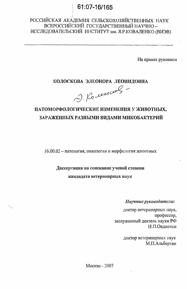Патоморфологические изменения у животных, зараженных разными видами микобактерий