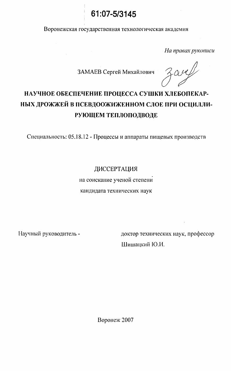 Научное обеспечение процесса сушки хлебопекарных дрожжей в псевдоожиженном слое при осциллирующем теплоподводе