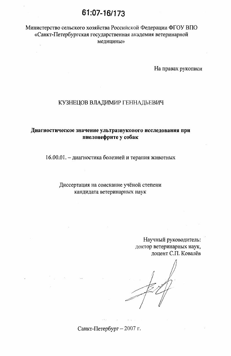 Диагностическое значение ультразвукового исследования при пиелонефрите у собак