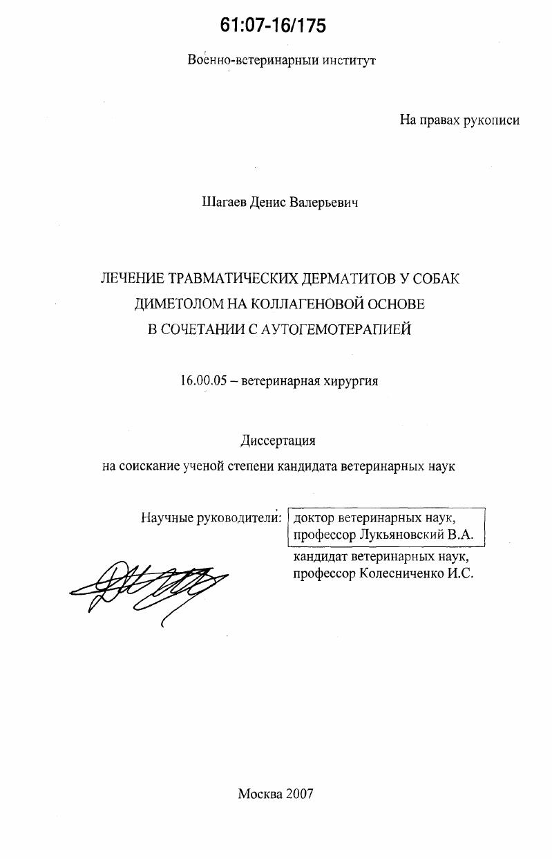 Лечение травматических дерматитов у собак диметолом на коллагеновой основе в сочетании с аутогемотерапией