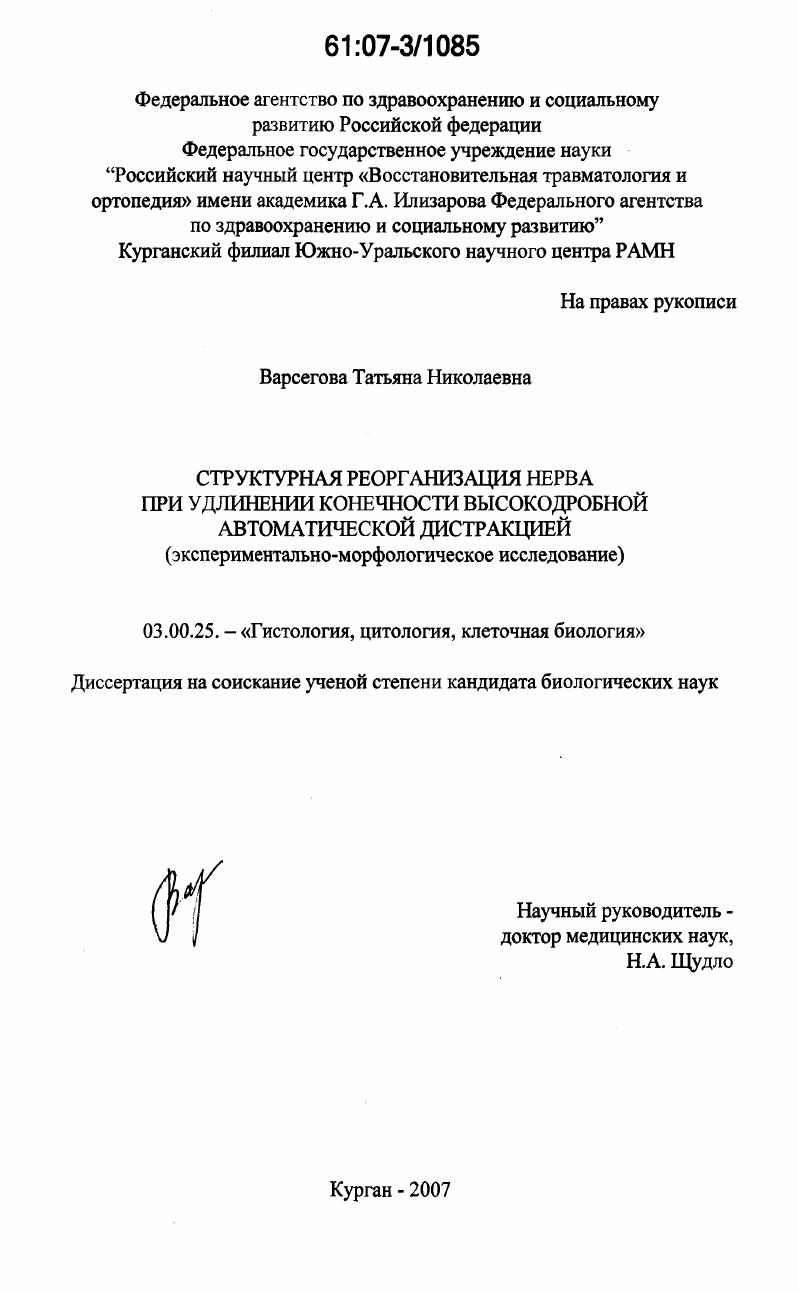 Структурная реорганизация нерва при удлинении конечности высокодробной автоматической дистракцией : экспериментально-морфологическое исследование