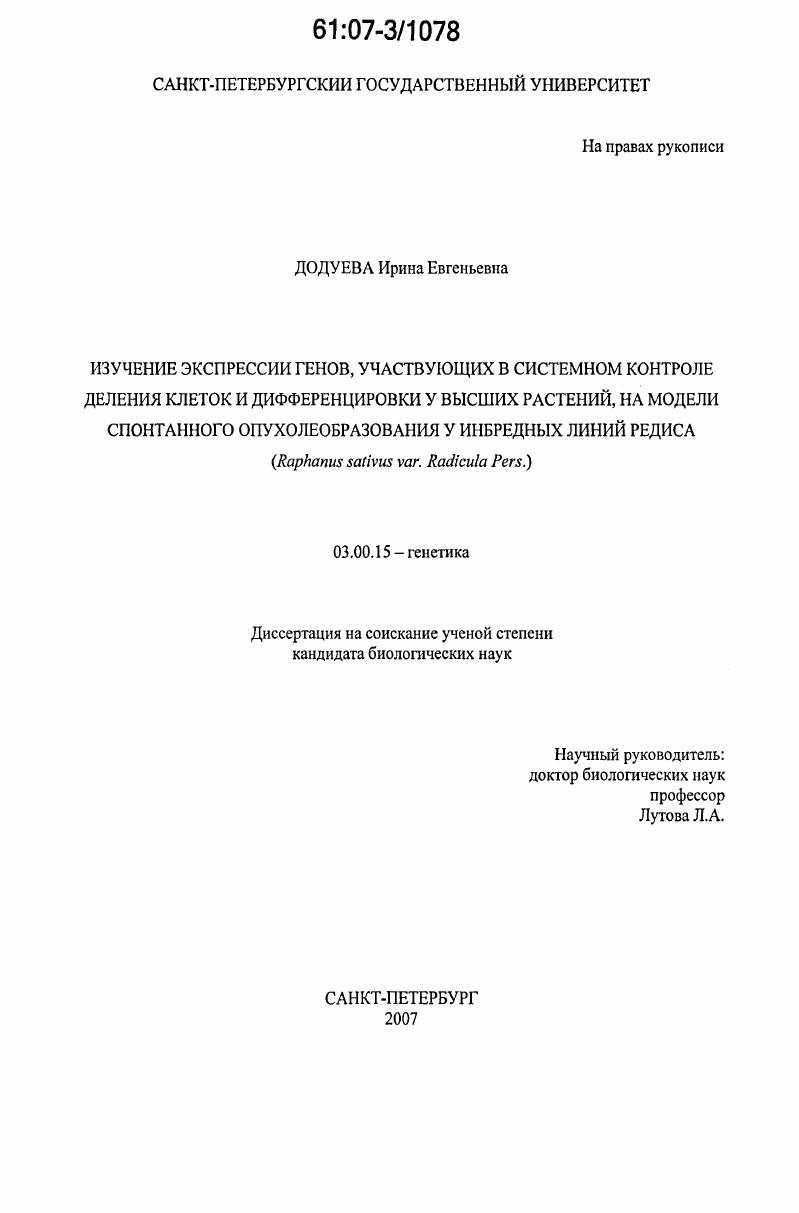 Изучение экспрессии генов, участвующих в системном контроле деления клеток и дифференцировки у высших растений, на модели спонтанного опухолеобразования у инбредных линий редиса (Raphanus sativus var. Radicula Pers.)