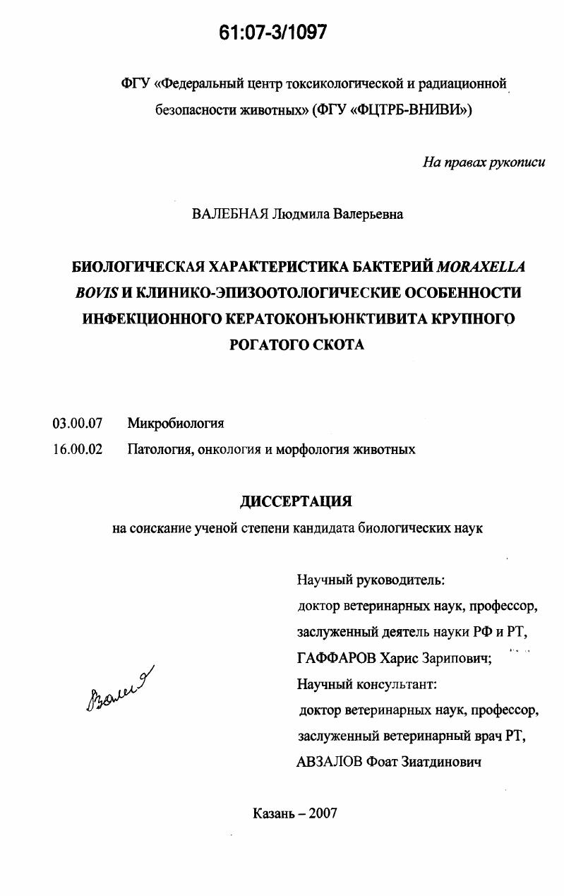Биологическая характеристика бактерий Moraxella bovis и клинико-эпизоотологические особенности инфекционного кератоконъюнктивита крупного рогатого скота