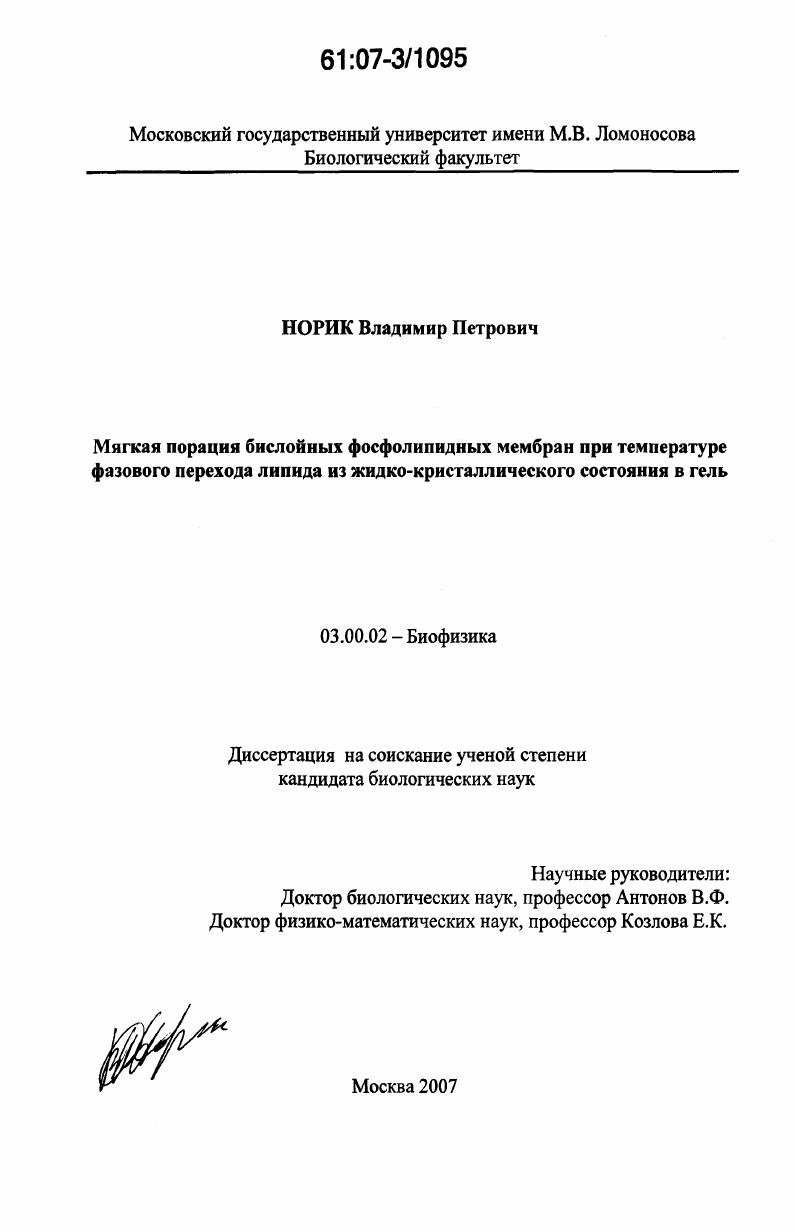 Мягкая порация бислойных фосфолипидных мембран при температуре фазового перехода липида из жидко-кристаллического состояния в гель