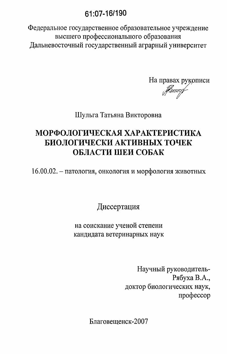 Морфологическая характеристика биологически активных точек области шеи собак