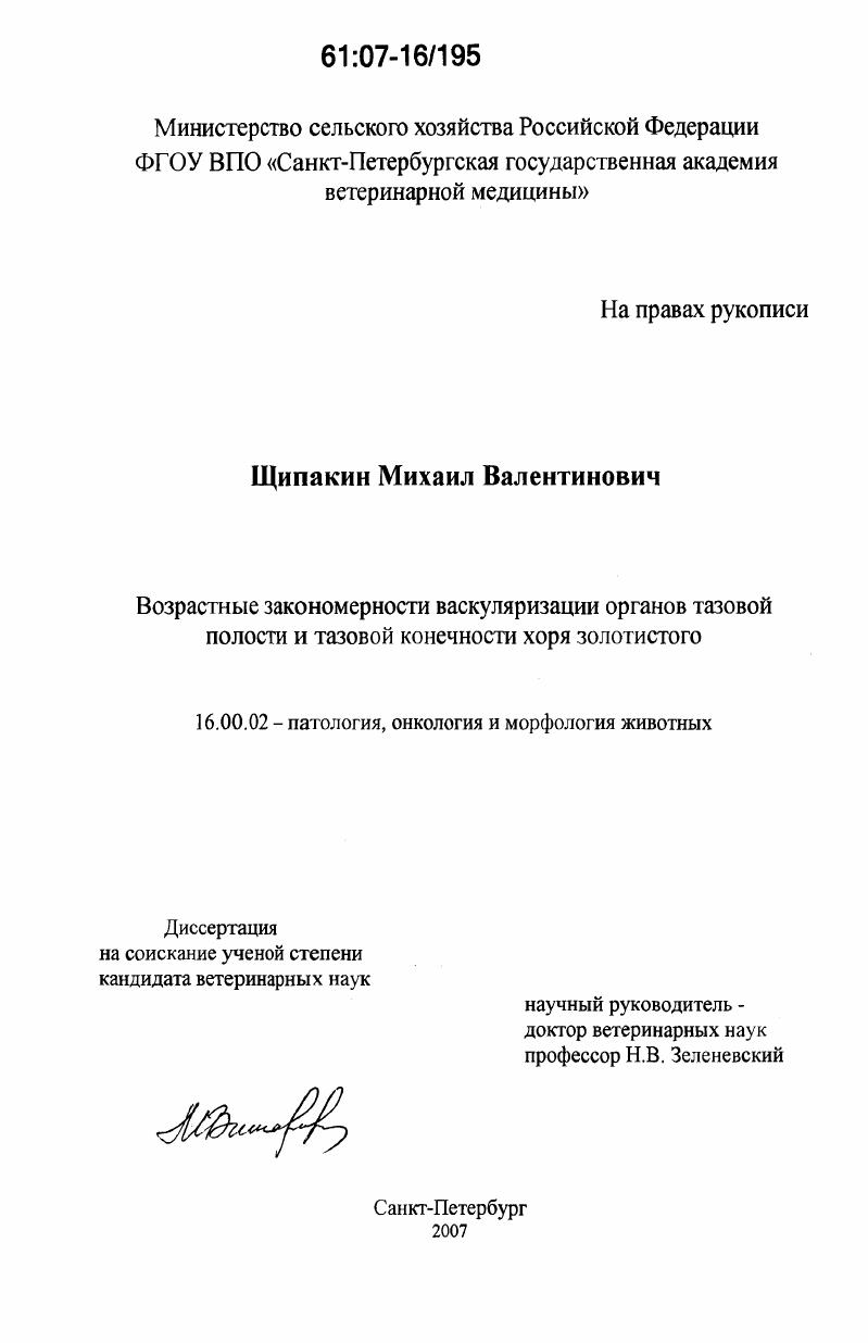 Возрастные закономерности васкуляризации органов тазовой конечности и тазовой полости хоря золотистого