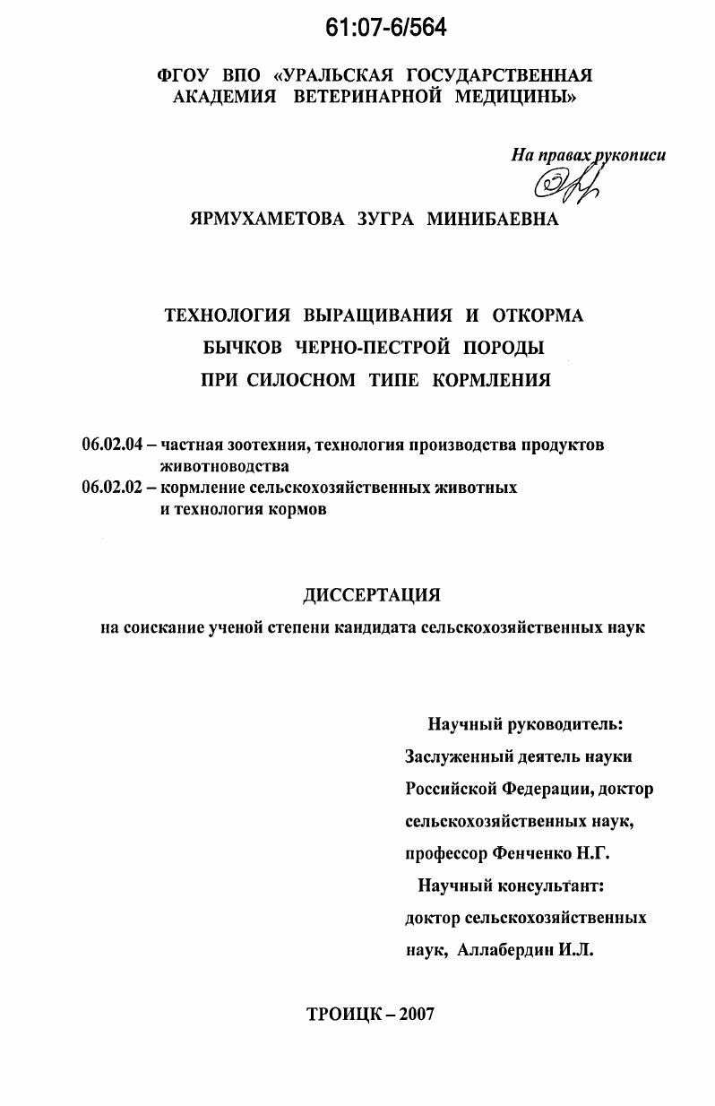 Технология выращивания и откорма бычков черно-пестрой породы при силосном типе кормления