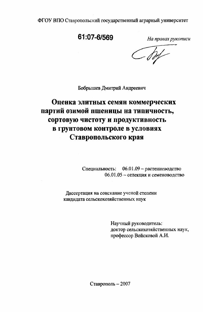 Оценка элитных семян коммерческих партий озимой пшеницы на типичность, сортовую чистоту и продуктивность в грунтовом контроле Ставропольского края