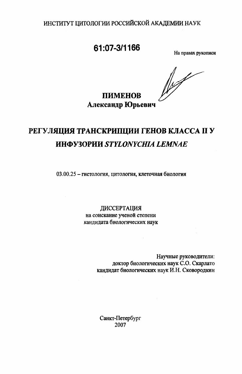 Регуляция транскрипции генов класса II у инфузории Stylonychia lemnae