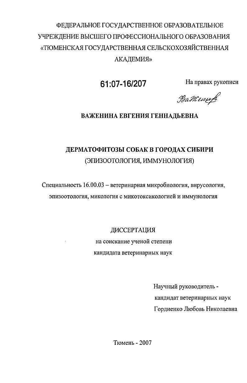 Дерматофитозы собак в городах Сибири : эпизоотология, иммунология