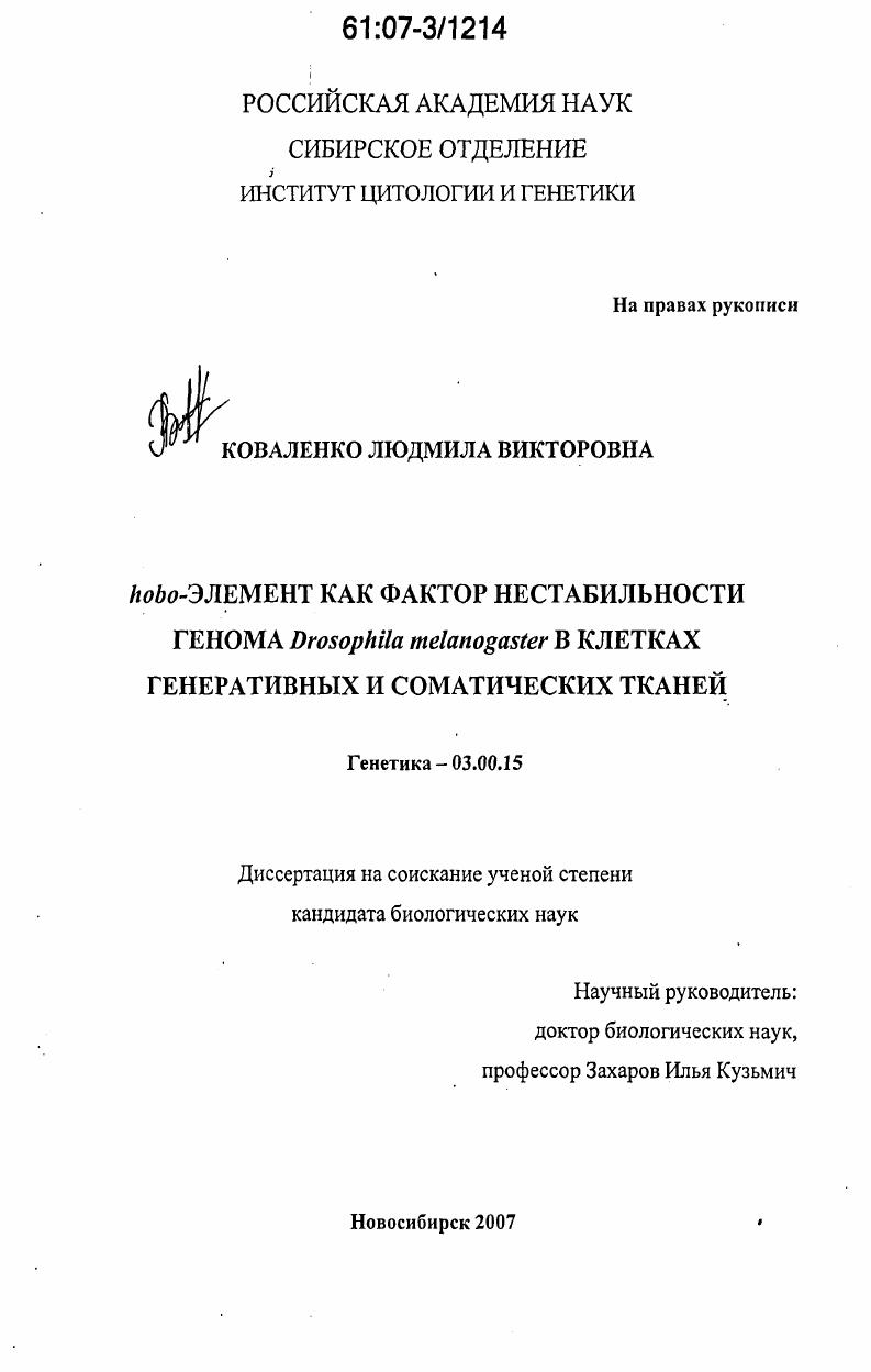 hobo-элемент как фактор нестабильности генома Drosophila melanogaster в клетках генеративных и соматических тканей