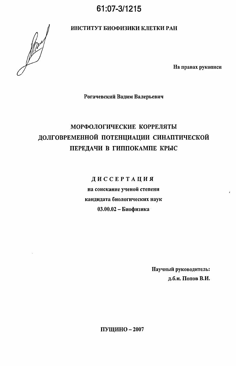 Морфологические корреляты долговременной потенциации синаптической передачи в гиппокампе крыс