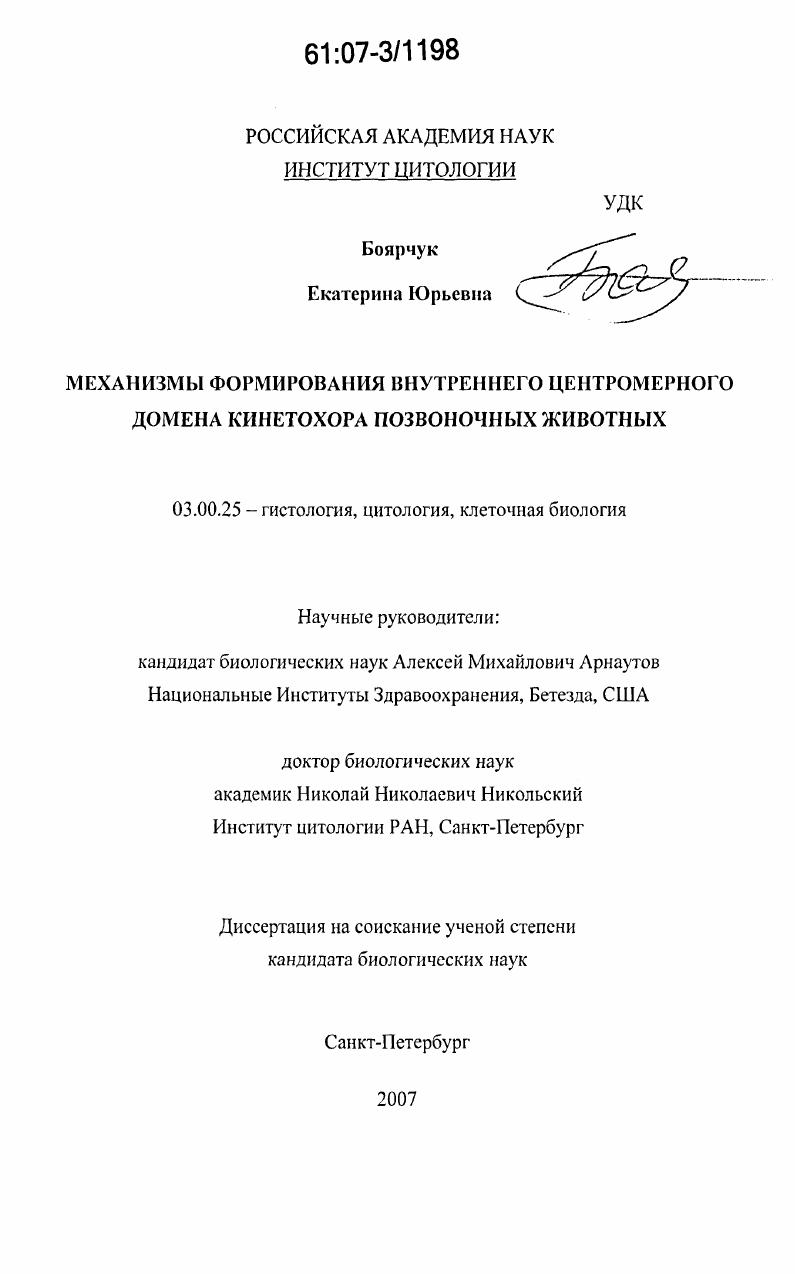 Механизмы формирования внутреннего центромерного домена кинетохора позвоночных животных