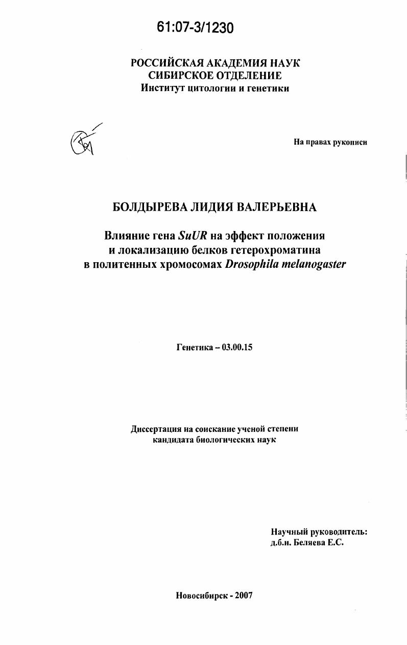 Влияние гена SuUR на эффект положения и локализацию белков гетерохроматина в политенных хромосомах Drosophila melanogaster