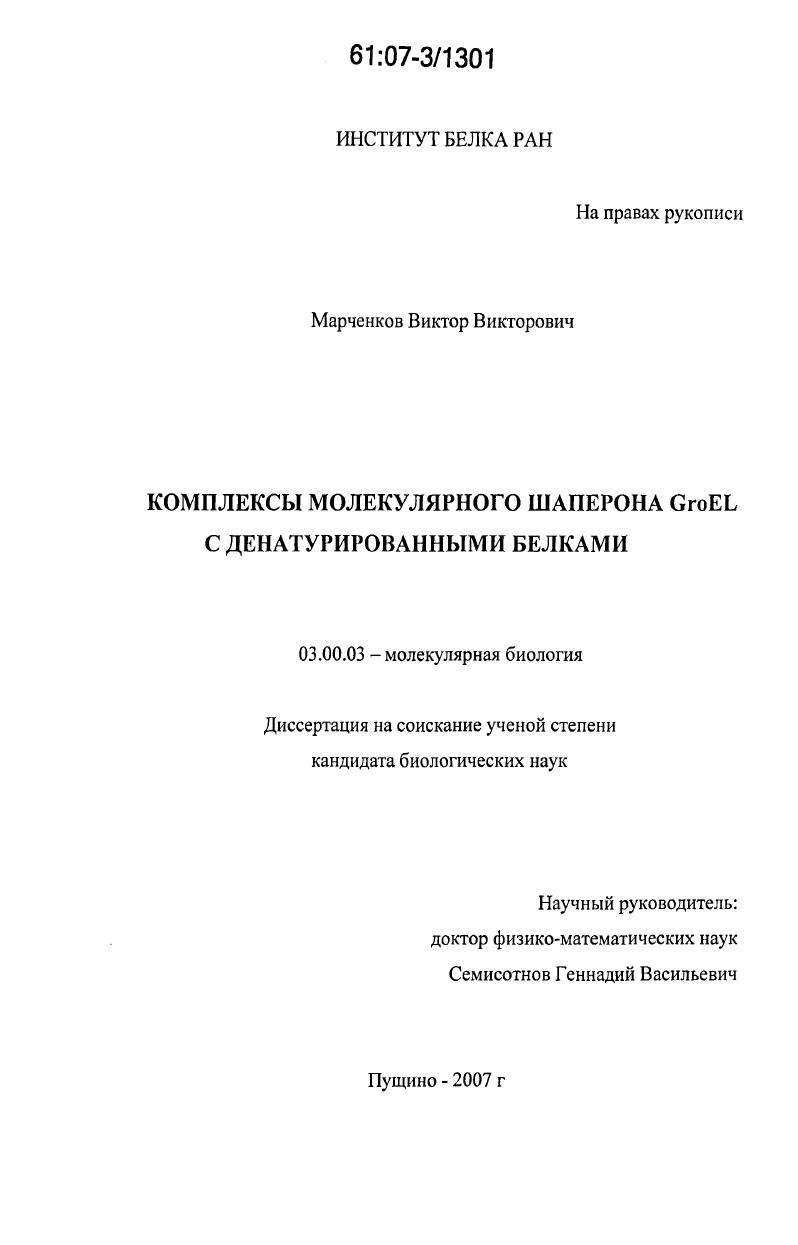 Комплексы молекулярного шаперона GroEL с денатурированными белками