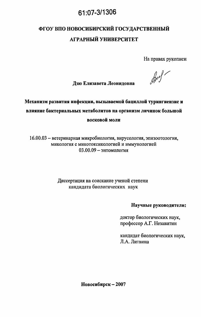 Механизм развития инфекции, вызываемой бациллой турингиензис и влияние бактериальных метаболитов на организм личинок большой восковой моли