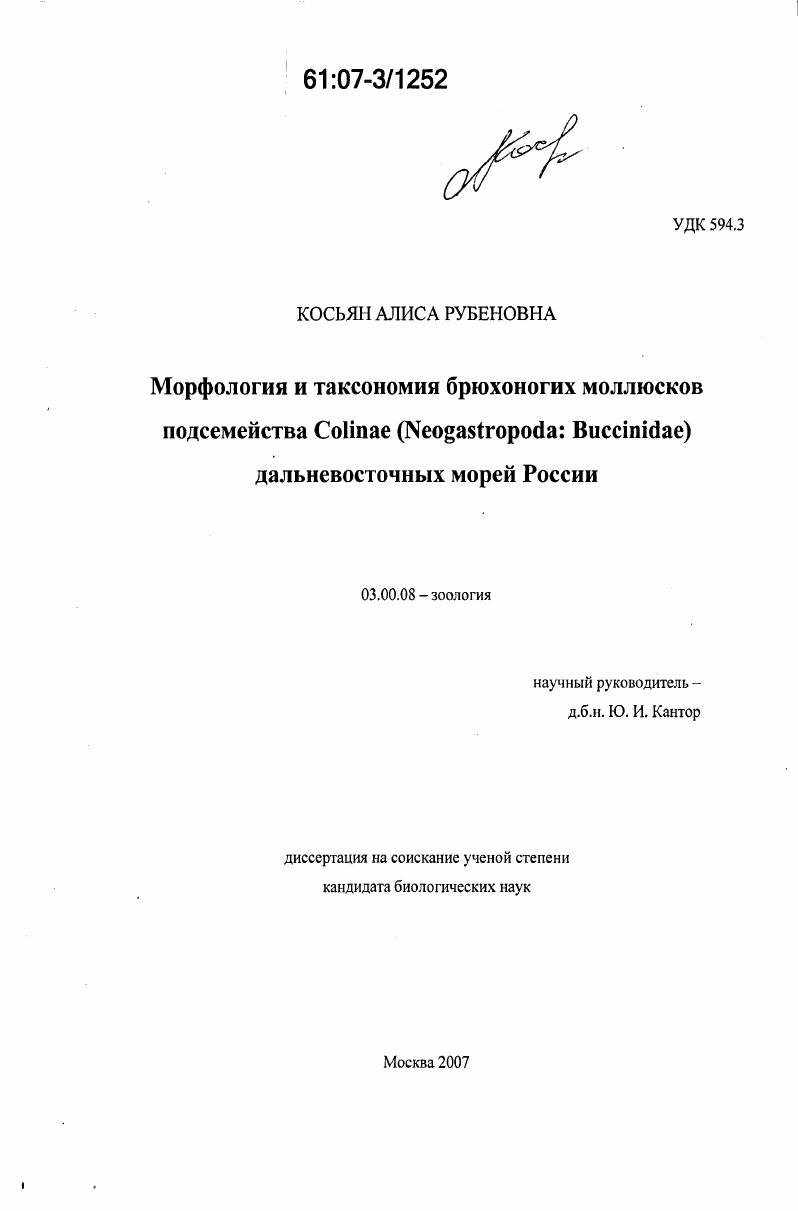 Морфология и таксономия брюхоногих моллюсков подсемейства Colinae (Neogastropoda: Buccinidae) дальневосточных морей России