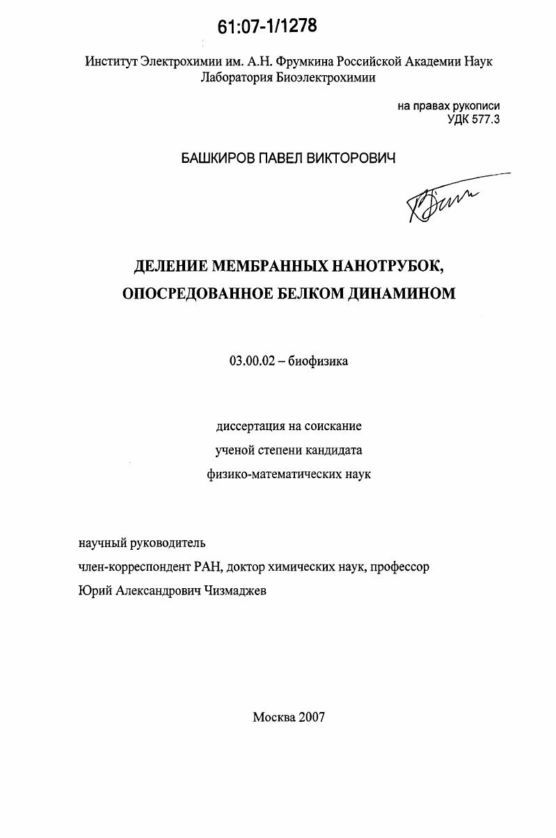 Деление мембранных нанотрубок, опосредованное белком динамином