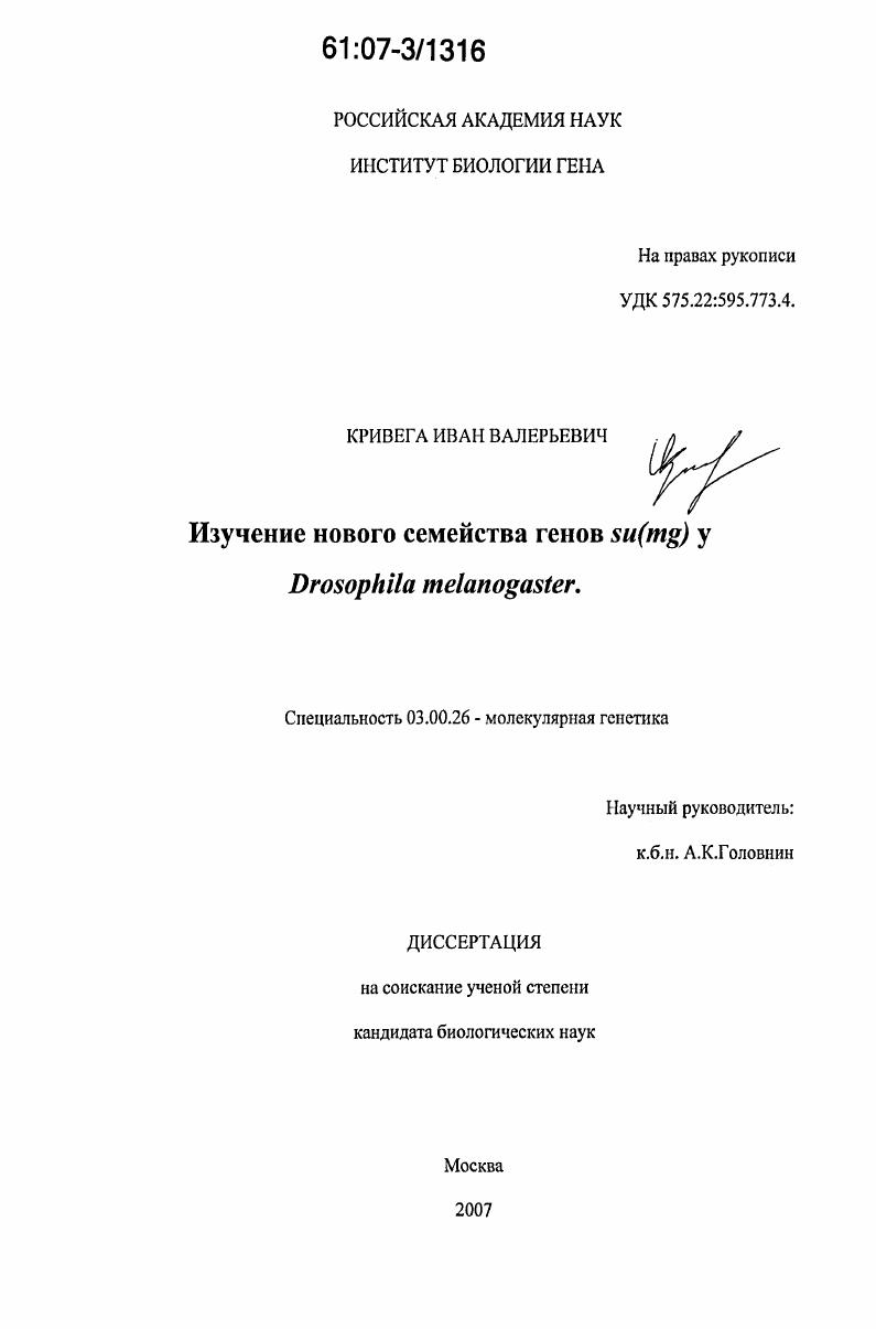 Изучение нового семейства генов su(mg) у Drosophila melanogaster