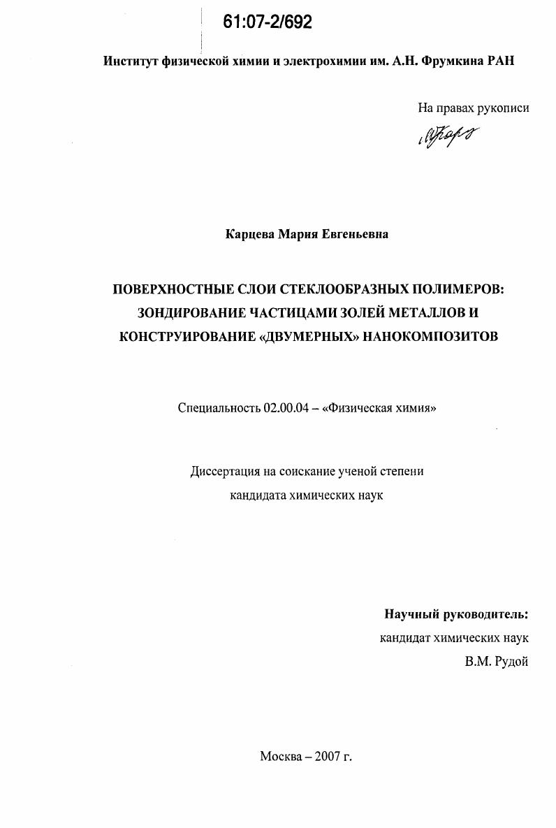 Поверхностные слои стеклообразных полимеров : зондирование частицами золей металлов и конструирование "двумерных" нанокомпозитов